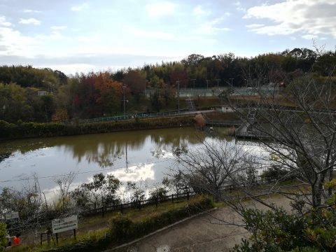 木津川台公園