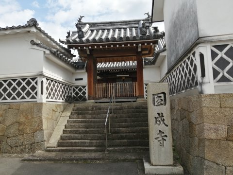 圓成寺